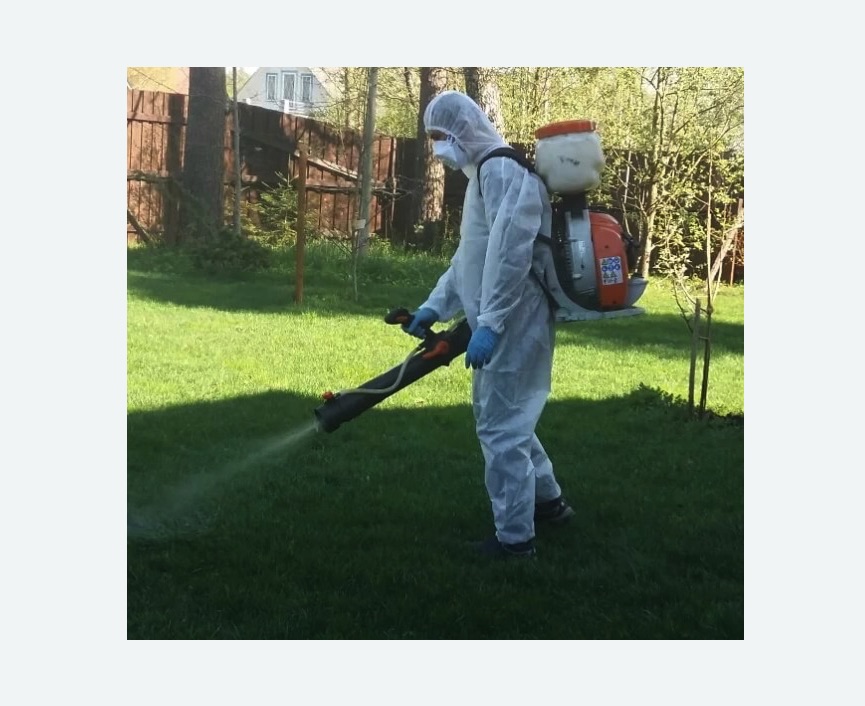 Обработка территории от клещей в Асино