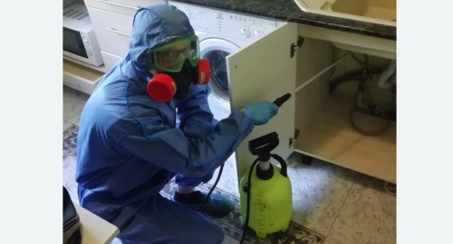 Уничтожение муравьев в квартире. Асино