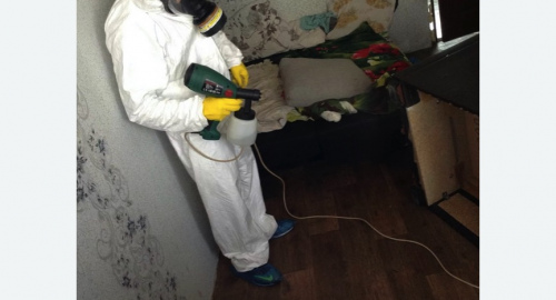 Обработка квартир от насекомых в Асино