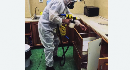 Дезинсекция квартиры. Асино