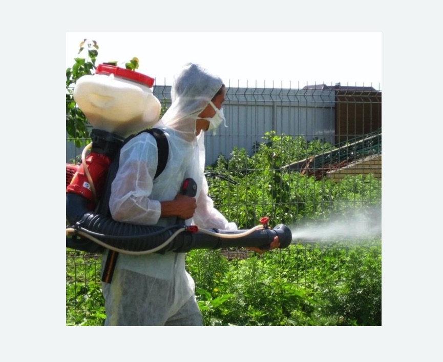 Акарицидная обработка территории в Асино