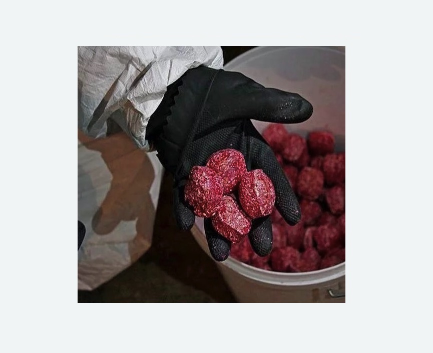 Обработка от крыс в Асино