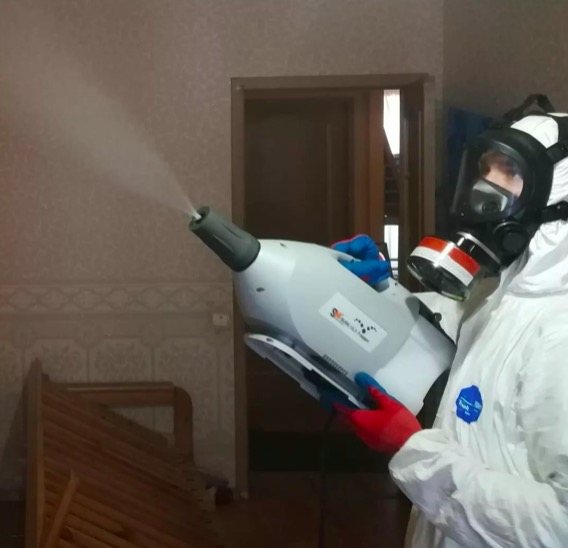 дезинсекция помещения в Асино