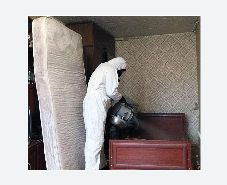 дезинфекция от клопов дезинфекция от клопов в Асино