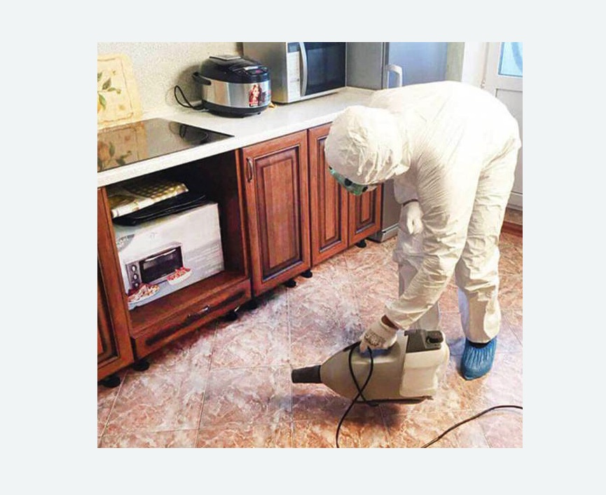 обработка квартиры от клопов в Асино обработка квартиры от клопов