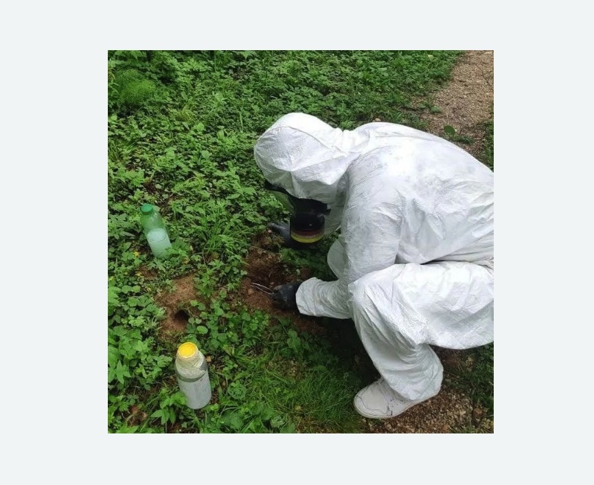 уничтожение кротов на участке уничтожение кротов на участке в Асино