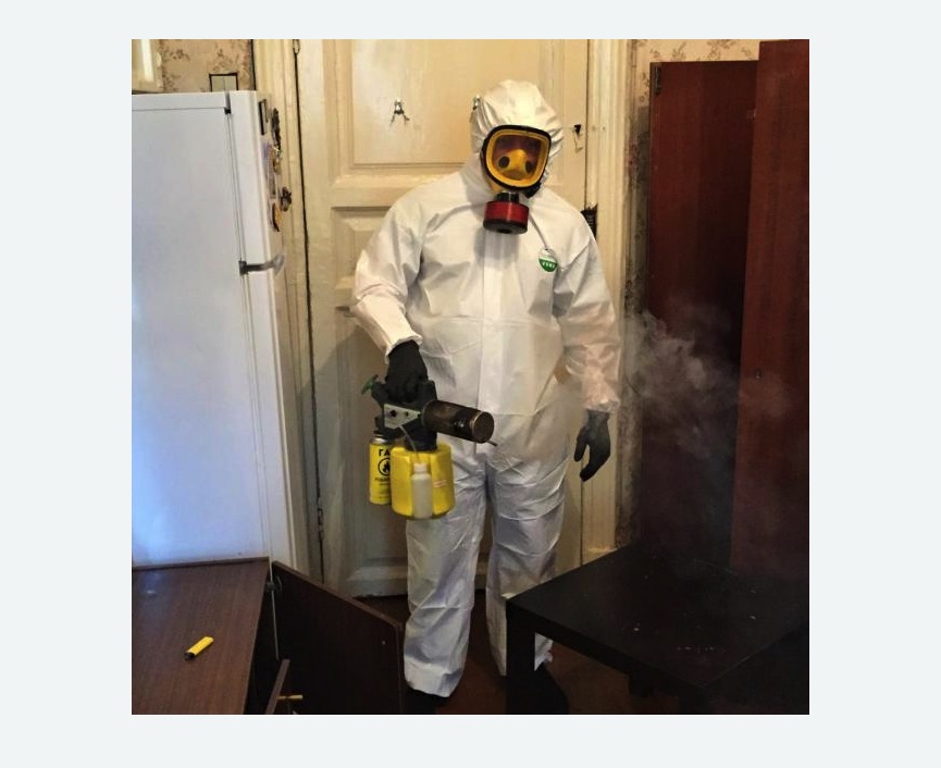 уничтожение муравьев в квартире в Асино